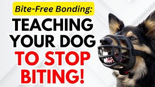 Putting a Pawsitive End to Biting Teaching Your Dog to Stop Biting [upl. by Elynad]