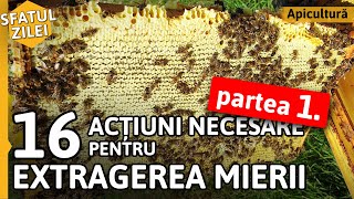 16 actiuni necesare pentru EXTRAGEREA MIERII  Partea 1 Sfatul zilei [upl. by Sergio]