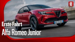 Alfa Romeo Junior Veloce  Erste Fahrt mit Rolf Klein [upl. by Charyl]