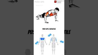 PUSH  UP fitness workout fullbodyworkout homeworkout execrise chest gym pushups [upl. by Dranyl]