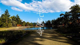 【世界遺産・平泉】秋の毛越時散策Motsujitemple Hiraizumi JapanWorld heritage [upl. by Eatnuahc169]