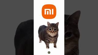 Sonido de Xiaomi con el Oia Oia Cat 🤣 [upl. by Iramat]