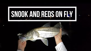 Night Time Snook and Redfish on Fly [upl. by Anivas]