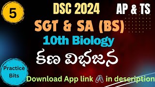 DSC SA BIOLOGY 10TH BIOLOGY PRACTICE BITS [upl. by Erund109]