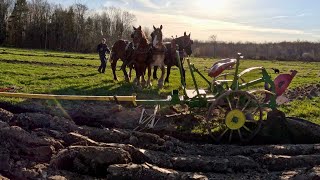 Three Draft Horse Breeds Plowing Together  Draft Horse Farming 630 [upl. by Blus]