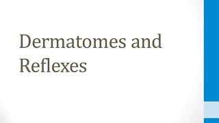 CNS 15 Dermatomes and Reflexes [upl. by Bertle985]