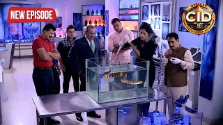 CID Team का हुआ जब 25 खून करने वाले इस जहरीले सांप से सामना  CID  TV Serial Latest Episode [upl. by Alyson]