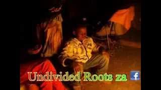 Undivided Roots za fireplace at Earthdance Kzn 2014 [upl. by Aicelav]