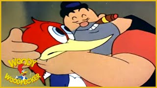 Woody Woodpecker classic  The Loose Nut  Woody Woodpecker Full Episode  Remastered [upl. by Aridnere505]