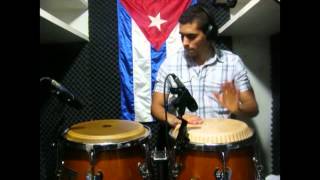 Marc Anthony  Cambio De Piel Conga Cover [upl. by Lentha592]