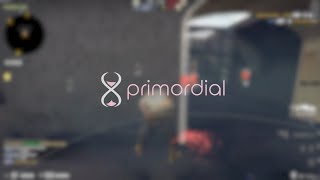 primordial crack underical hvh highlights cs go  best config for primordial crack [upl. by Demetri]