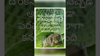 Katuka kannula foke song motivation telugu love song  youtube shorts [upl. by Ehrenberg3]