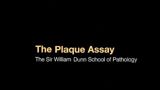 The plaque assay [upl. by Lihcox]