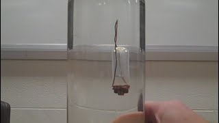 Amazing Cartesian Diver Experiment  Mr Pauller [upl. by Mord]