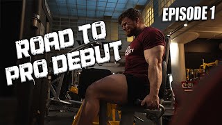 DIEETTI ALKOI JALKATREENI  Road to Pro Debut Ep 1 [upl. by Enotna]