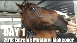 2018 Extreme Mustang Makeover  Pickup amp Day 1 [upl. by Marolda]