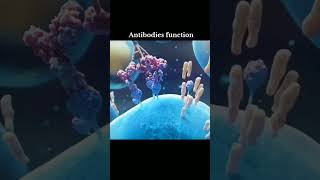 Antibiotics Functions antibiotics medical antibodi medicine [upl. by Prosper]