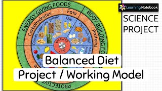 Balanced Diet Project । Balanced Diet Working Model । Science Project [upl. by Bobbi216]