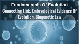 Connecting Link Embryological Evidence Of Evolution Biogenetic Law [upl. by Htebasil915]