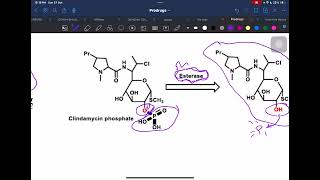 ProDrug p5 [upl. by Fleisig646]