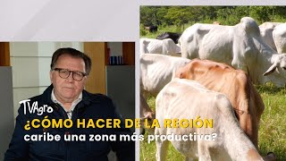 ¿Cómo hacer de la región caribe una zona más productiva  TvAgro por Juan Gonzalo Angel [upl. by Howund646]