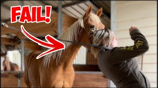 I ALMOST HAD A BIG HORSE FAIL lol [upl. by Tartan969]