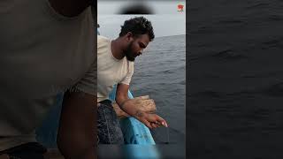 Catching Pompano Fish in the Deep Sea fishing fishingvideo fishingtime [upl. by Nnylirej927]