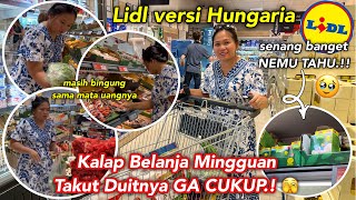 BELANJA DI LIDIL VERSI HUNGARIA NEMU TAHU amp ISI KULKAS LAGI WASWAS TAKUT DUITNYA GA CUKUP 🫣 [upl. by Micro]