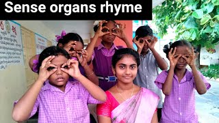 Sense organs rhyme  our world evs Human five sense organs [upl. by Amles334]