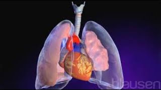 Pneumothorax  causes X ray treatment  spontaneous and tension pneumothorax  Medicine Lecture [upl. by Tempa16]