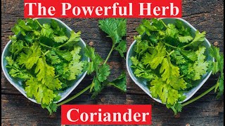 The powerful herb coriander health benefits [upl. by Dixon]