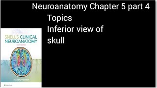 Neuroanatomy chapter 5Anatomy of skull  inferior view of skullanatomy in hindiUrdunormabasalis [upl. by Fidelia]