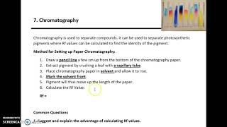 AQA A LEVEL BIOLOGY REQUIRED PRACTICAL 7 CHROMATOGRAPHY [upl. by Ettennaej]