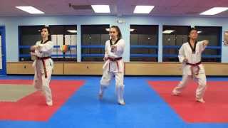 Taekwondo Basic Form 1 [upl. by Hayman602]