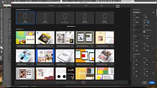 How to Setup an InDesign Project for designing for the iPad Pro [upl. by Marni590]