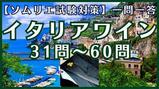 33【2023年】後半 イタリアワイン一問一答 15倍速推奨 ソムリエ試験対策 ◆独学予測問題 [upl. by Veta]