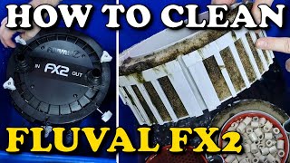 FLUVAL FX2 External Filter FULL CLEANING amp MAINTENANCE GUIDE  FX4 FX6 Aquarium Canister fluval [upl. by Gnem]