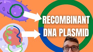 Recombinant DNA Technology Explained For Beginners [upl. by Ynafets]