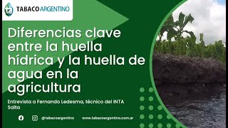 Diferencias clave entre la huella hídrica y la huella de agua en la agricultura [upl. by Kachine]