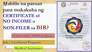 Paano kumuha ng BIR CERTIFICATE of NONFILER of ITR NO INCOME LOW INCOME Step and complete guide [upl. by Jacquelyn456]