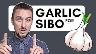 SIBO and Garlic Can This Herb Help Heal Your Gut [upl. by Aicelav]