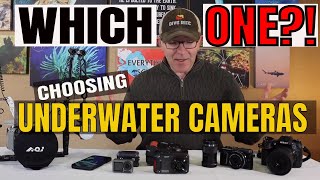 Best Cameras for Underwater Photography [upl. by Tehcac]