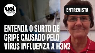 Gripe H3N2 Entenda surto causado pelo vírus influenza A e efetividade de vacinas [upl. by Schertz]