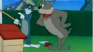 Tom and Jerry shortmp4 [upl. by Aiuqenehs]