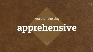 apprehensive meaning and usage [upl. by Allemac]