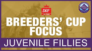 Breeders Cup Focus  Juvenile Fillies 2024 [upl. by Astiram98]