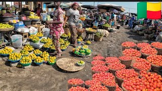 Food shopping in the cheapest food market in Cotonou Benin West Africa Driving from Benin to Togo🇹🇬 [upl. by Grider]