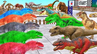 Dino Racing x5 TRex Vs 5 Spino Vs 5 Giganotosaurus Vs Animals Death Run Animal Revolt Battle Sim [upl. by Bogie]