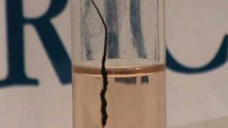 Carbon nanotube fibre dissolving in chlorosulfonic acid [upl. by Barcroft]