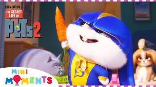 The Secret Life Of Pets 2016 End Credits Remake [upl. by Koziarz]